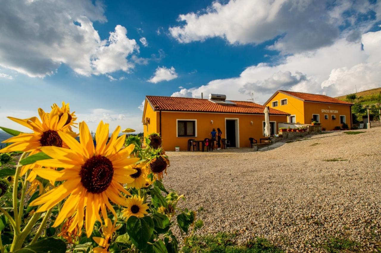 Spazio Natura Acomodação com café da manhã Castelmezzano Exterior foto