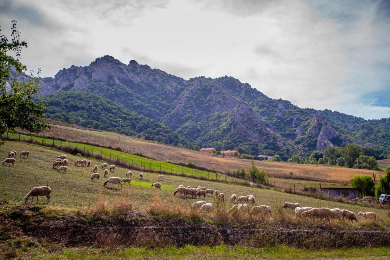 Spazio Natura Acomodação com café da manhã Castelmezzano Exterior foto